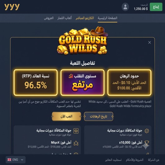 صورة لصفحة معلومات لعبة سلوت داخل الحساب، مع تمييز خانة نسبة العائد ومستوى التقلب وحدود الرهان